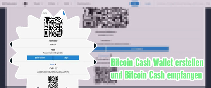 Bitcoin cash private key