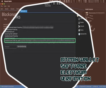 Bitcoin public key auslesen