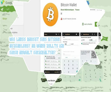 Bitcoin wallet auszahlen